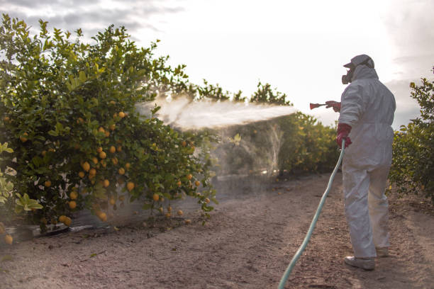 Best Best Pest Control Near Me  in Sheridan, AR