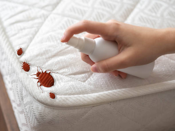 Best Pest Control Near Me in Sheridan, AR