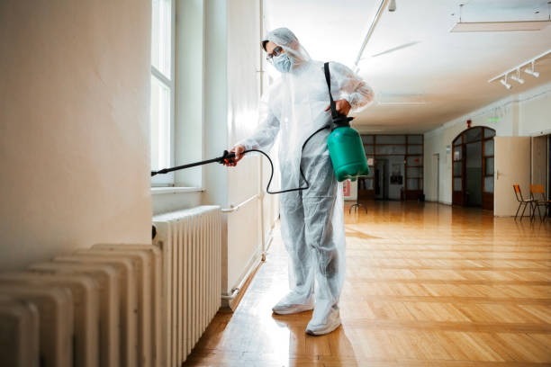 Reliable Sheridan, AR Pest Control Solutions