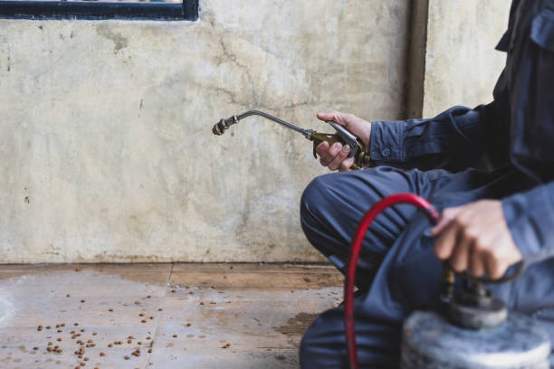 Best Residential Pest Control  in Sheridan, AR